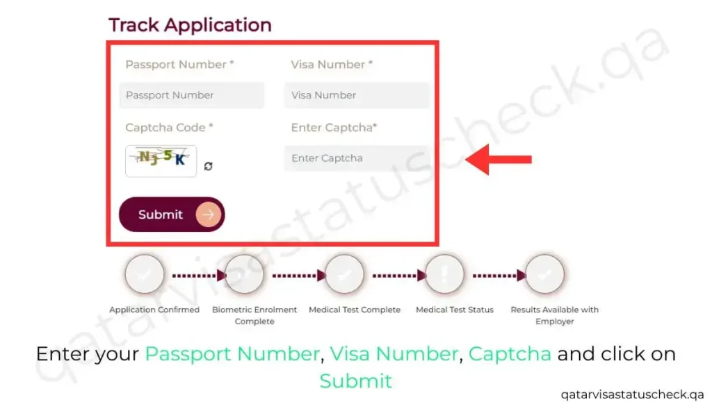 Enter your Passport Number, Visa Number, Captcha and click on Submit