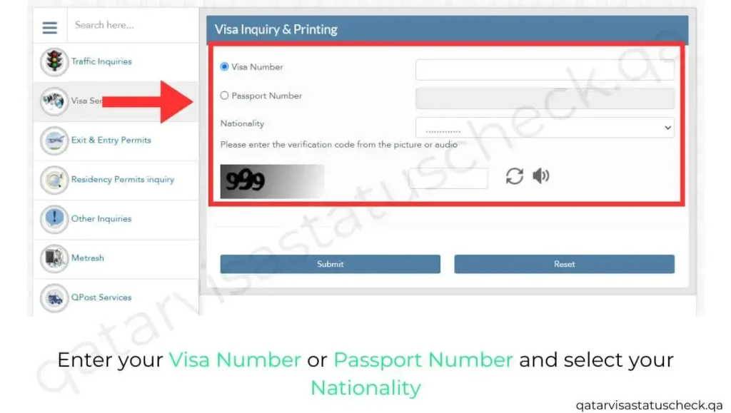 Enter your Visa Number or Passport Number and select your Nationality